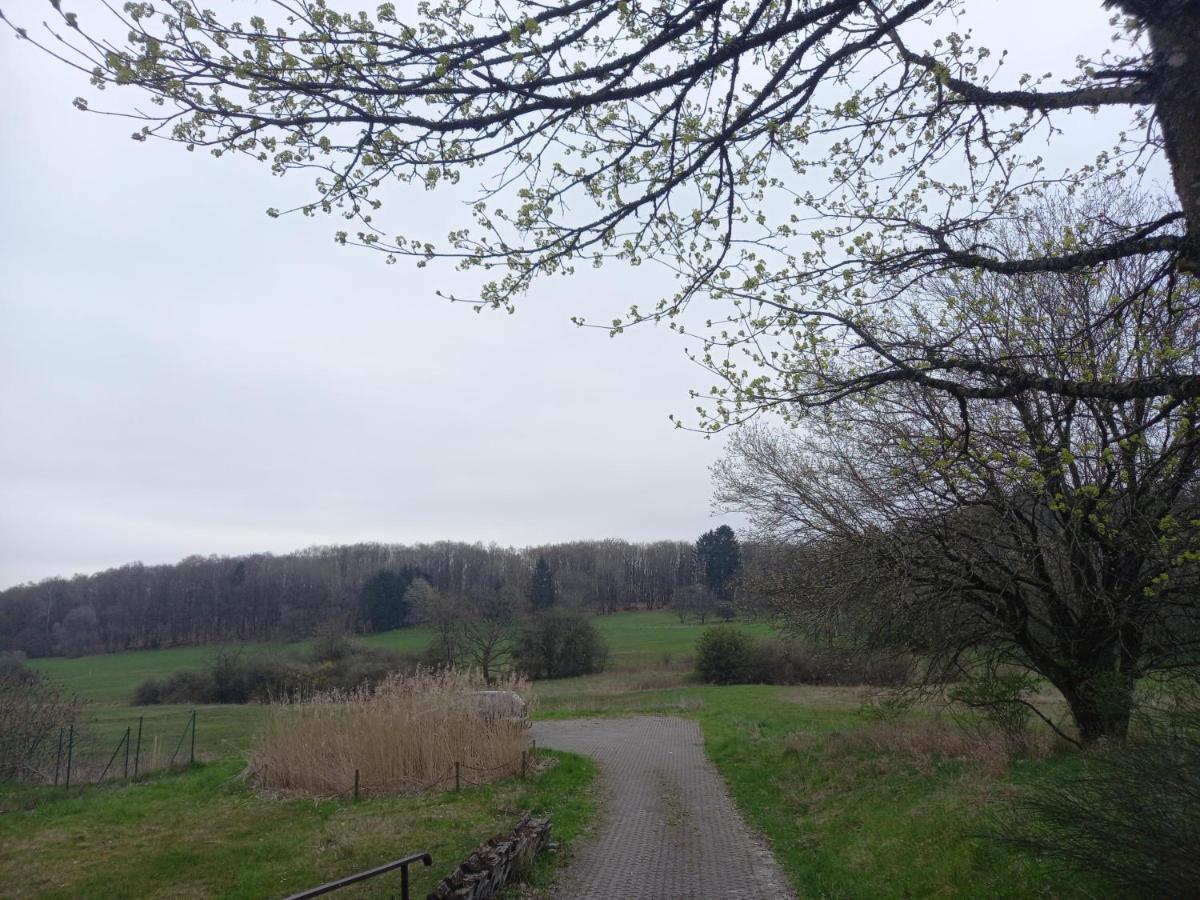 Ferienwohnung Sophia Nohfelden Buitenkant foto